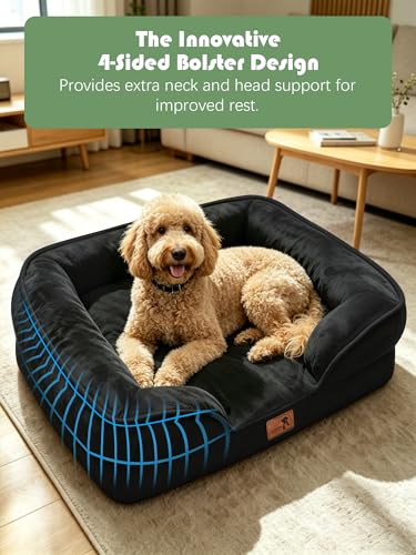 Orthopedic Dog Bed with Sides (42.0"L x 32.0"W x 6.5"Th / Black)