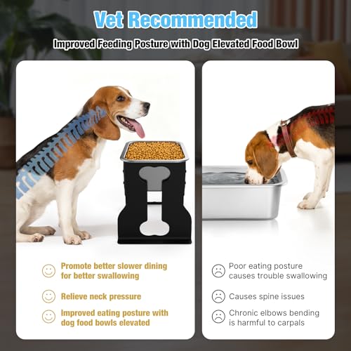 10" Elevated Dog Bowl (10" Height)