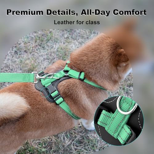 No Pull Dog Harness with Leather Accents (L / Teal)