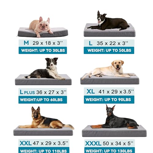 Extra Large Dog Beds (Purple Grey / XX-Large-47"x 29" x 3.5")