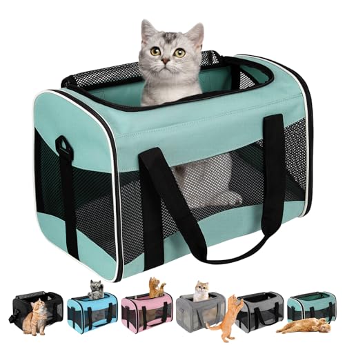 Cat Dog Carriers Soft (green / 17.0"L x 11.0"W x 11.0"H)