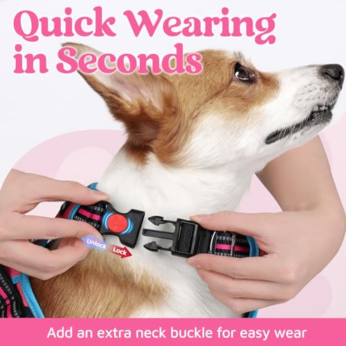 Dog Harness for Large (Pink & Blue / Large)