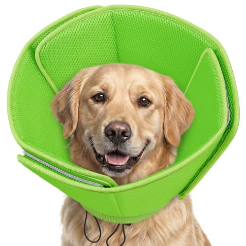 Soft Dog Cone (Green / Large)