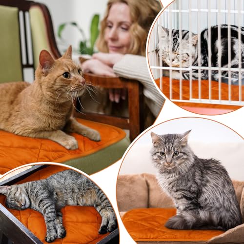 4 Pack Self Heating Cat Pad Self Warming Dog Mat Reflects Body Heat Extra Warm Thermal Pet Pad Washable Dog Cat Bed Crate Bed Mat Blanket (19 x 27.5 Inch / Orange)