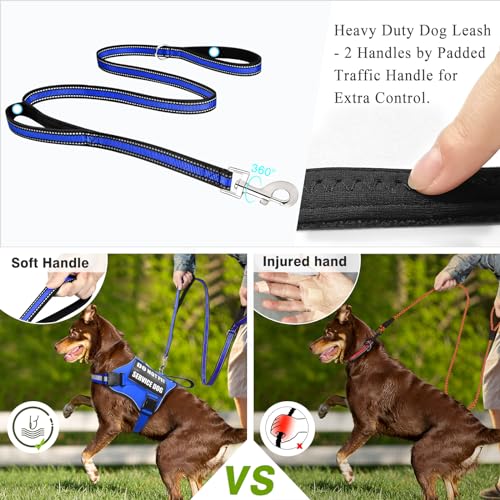 Service Dog Harness and Leash Set (Medium / Blue)