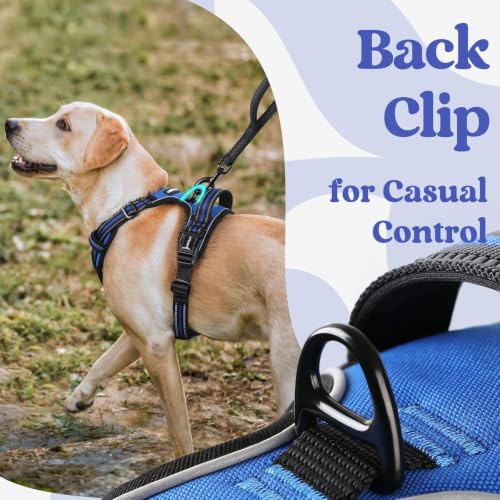 Dog Harness Medium Sized (Medium / Blue)