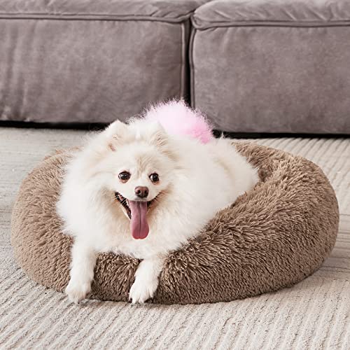 Orthopedic Dog Bed Comfortable Donut Cuddler Round Pet Beds Ultra Soft Washable Dog and Cat Cushion (S(23’’x 23’’) / Brown)