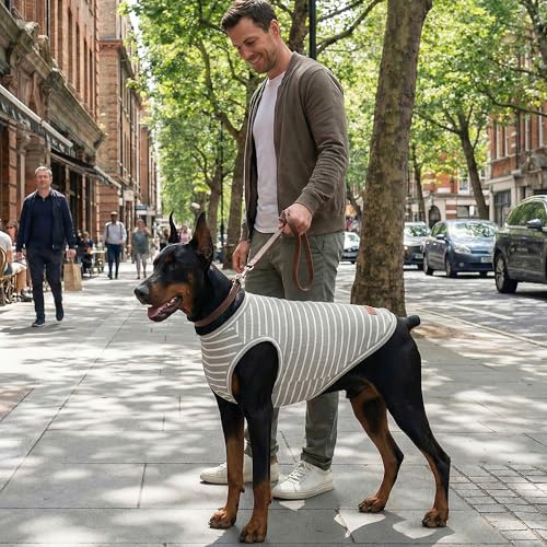 2Pack Dog Shirt Cotton Striped T (Navy Blue + Steel Blue / M(Back: 13.8", Chest: 17.7", 8.8-13.2lbs))