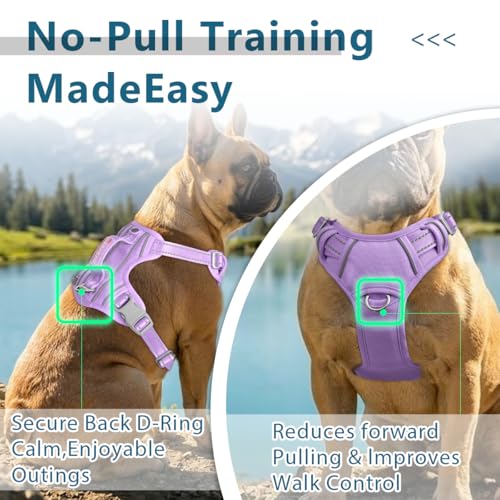 No Pull Dog Harness for Medium Sized Dogs (Medium(Chest:22.5-28") / Violet Purple-Oxford)