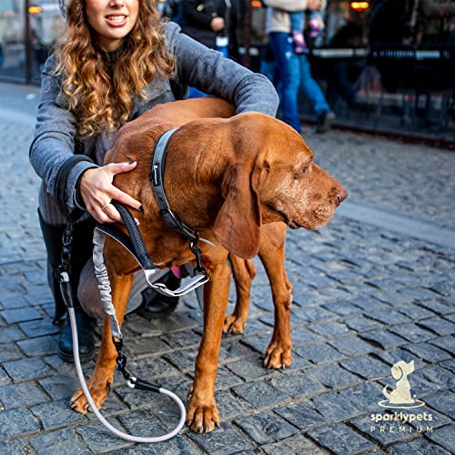 Heavy Duty Bungee Rope Leash (Adjustable Premium Silver)