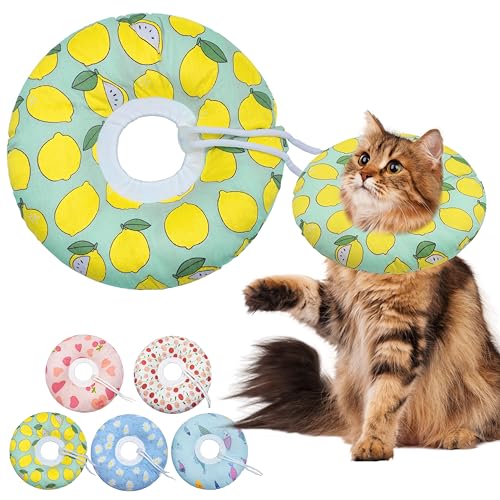Cat Cone Collar Soft (Green Lemon / Large)