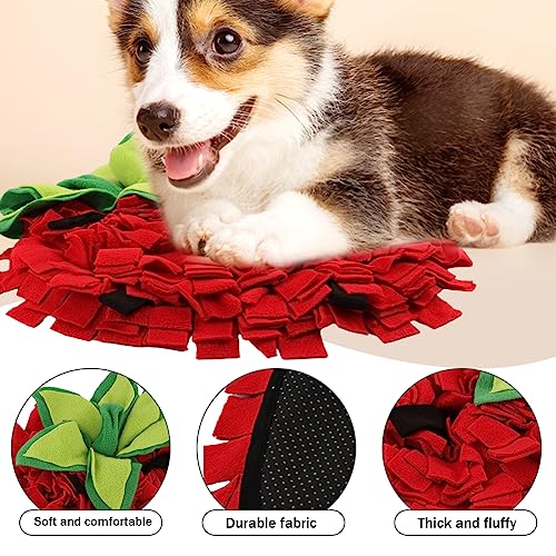 Snuffle Mat for Dogs