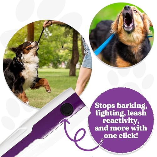 Doggie Don’t Anti Barking Device for Dogs (Purple, Rechargeable Battery)