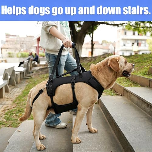 Dog Lift Harness for Large Dogs (Black / S)