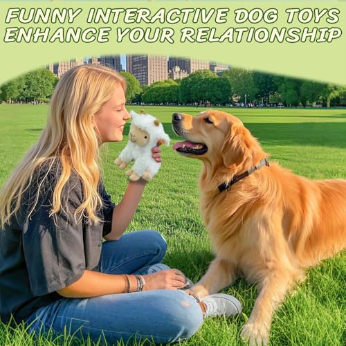 Squeaky Stuffed Dog Toys (White)