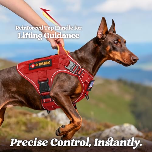 Tactical Dog Harness for Large (Red Reflex / Large)