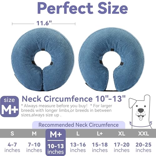 Inflatable Dog Cone Collar (M+(Neck 10"-13") / Blue)
