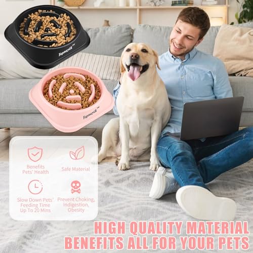 2 Pack Slow Feeder Dog Bowls for Medium Dogs & Cats (Medium / Black and Pink)