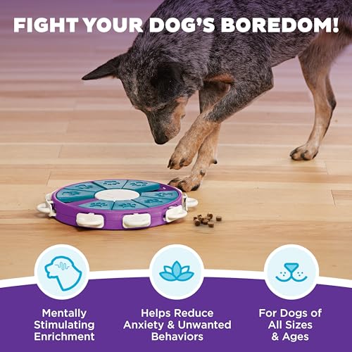Nina Ottosson Dog Twister Dog Toy Treat Puzzle (Dog Twister (Purple, Blue) / 1 Count (Pack of 1))