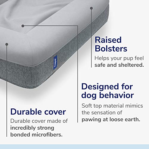 Dog Bed Plush Memory Foam (Gray / Medium)