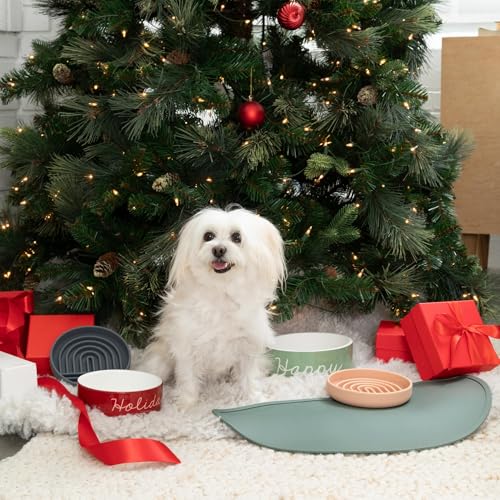 Silicone Dog Food Mat (Charcoal / Large)