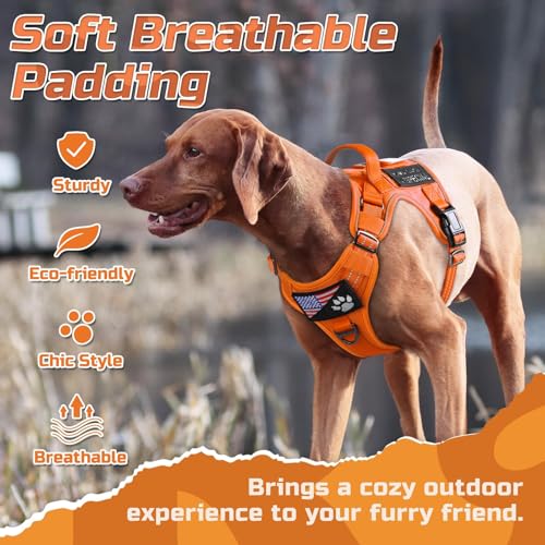 Tactical Dog Harness for Large (Orange / Large)