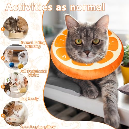 Cat Cone Collar Soft (Orange / Medium)