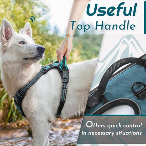 Dog Harness for Medium Sized Dogs (Medium / Dark Green)