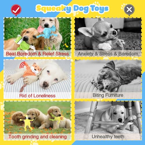 Dog Toys Squeaky