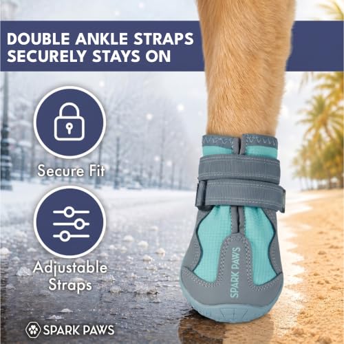 365 Dog Shoes (365 Teal / Size 6: 2.6"x2.95"(W*L) (Pack of 4))