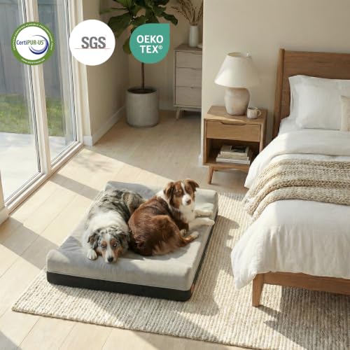 Orthopedic Dog Beds for Large Dogs (50.0"L x 36.0"W x 10.0"Th / Slate Gray)