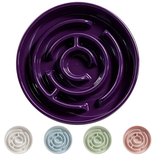 Ceramic Slow Feeder Dog Bowl (Purple)