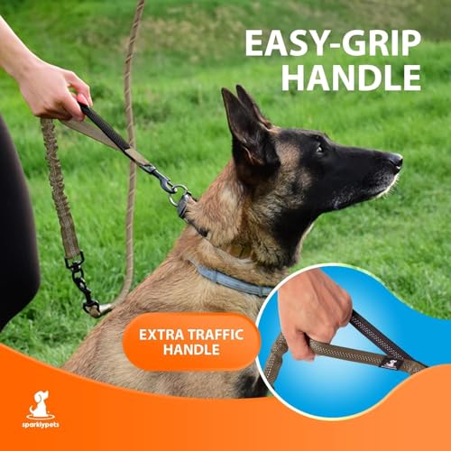 Heavy Duty Bungee Rope Leash (Brown)