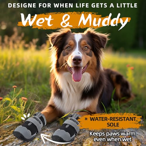 Dog Shoes for Dogs (Black / Width 2.55 in)