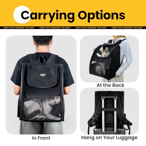 Cat Backpack Carrier for Small Dogs and Cats Fit Up to 15 Lbs (Black)