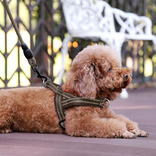 No Pull Dog Harness for Puppy Small Dogs (XXS: chest 11.8"-15" / Chocolate)