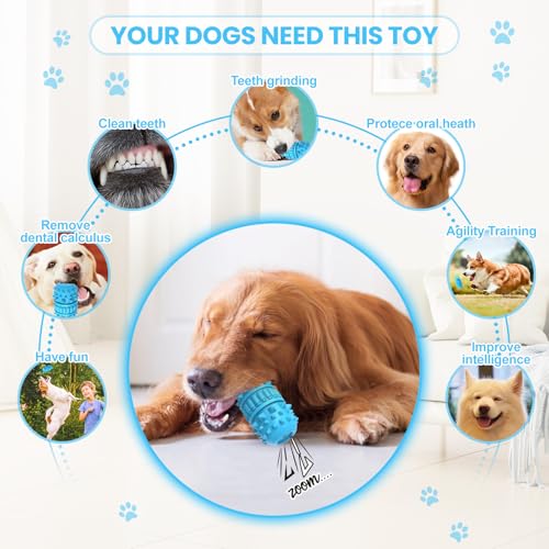 Natural Rubber Squeaky Dog Chew Toy for Medium Aggressive Chewers (Azure / Medium（For 30–55 lb dogs）)