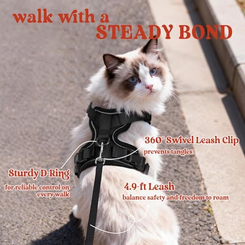 Cat Harness and Leash Set (Xxs / Black)