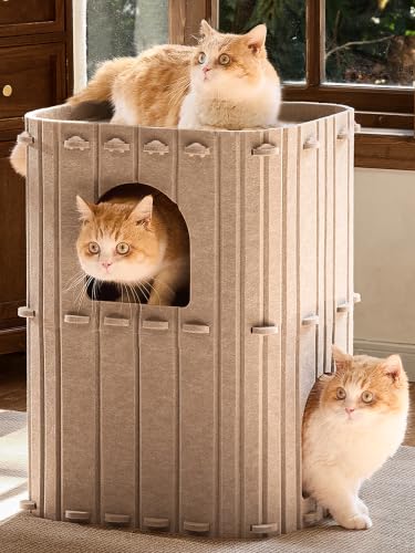 Cat House for Indoor Cats