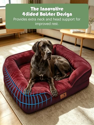 Orthopedic Dog Bed with Sides (53.0"L x 42.0"W x 8.0"Th / Burgundy)