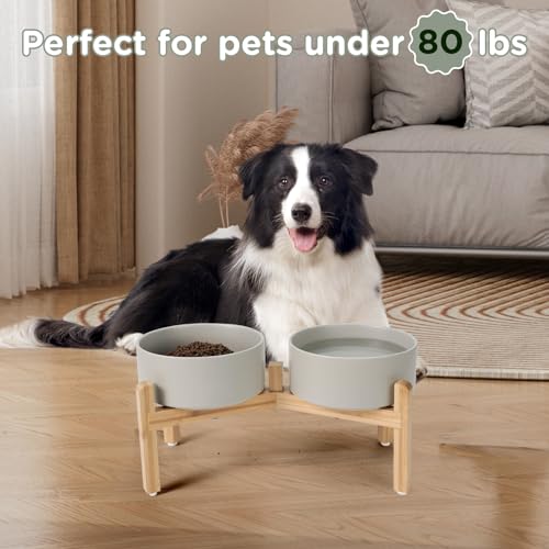 Elevated Dog Bowls Ceramic (7.3 in - 5.3 cups / Grey)