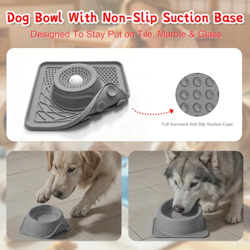 Slow Feeder Dog Bowl & Lick Mat (gray)