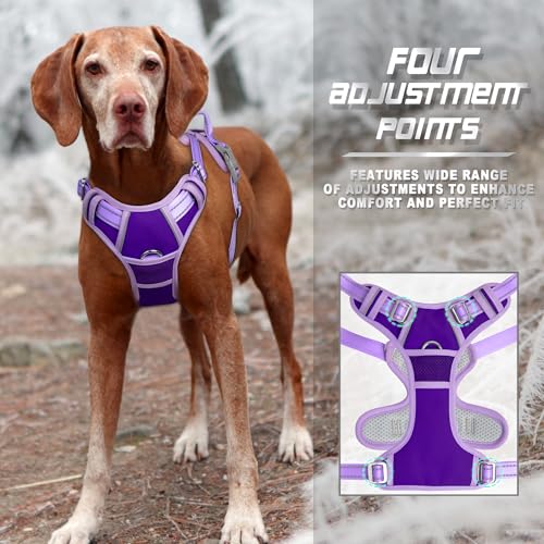 Dog Harness No Pull for Medium Sized Dog Front Back Clips (Medium(Chest:22.5-28") / Violet Purple & Purple)