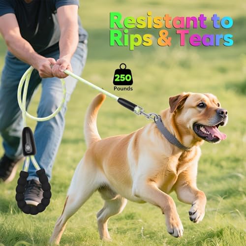 7Ft Light Up Dog Leash (7Ft)