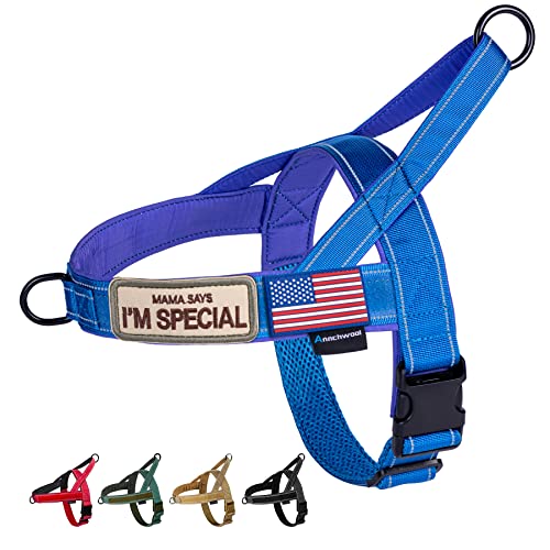 No Pull Dog Harness with Soft Padded Handle (XS / Blue)