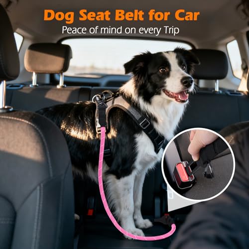 2 Packs Dog Seat Belt for Car (Purple, Pink / 2 Packs)