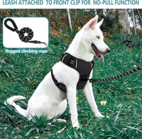 No Pull Dog Harness with Leash for Large Dog (Black / L)