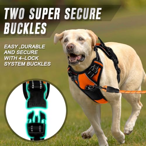 Dog Harness No Pull for Medium Sized Dog Front Back Clips (Medium(Chest:22.5-28") / Orange)