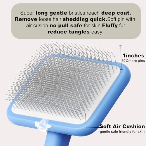 Dog Brush for Poodles (Blue)
