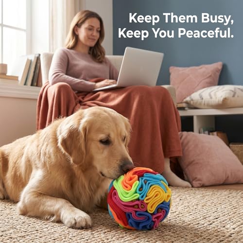 Snuffle Ball for Dogs (Rainbow / Small)